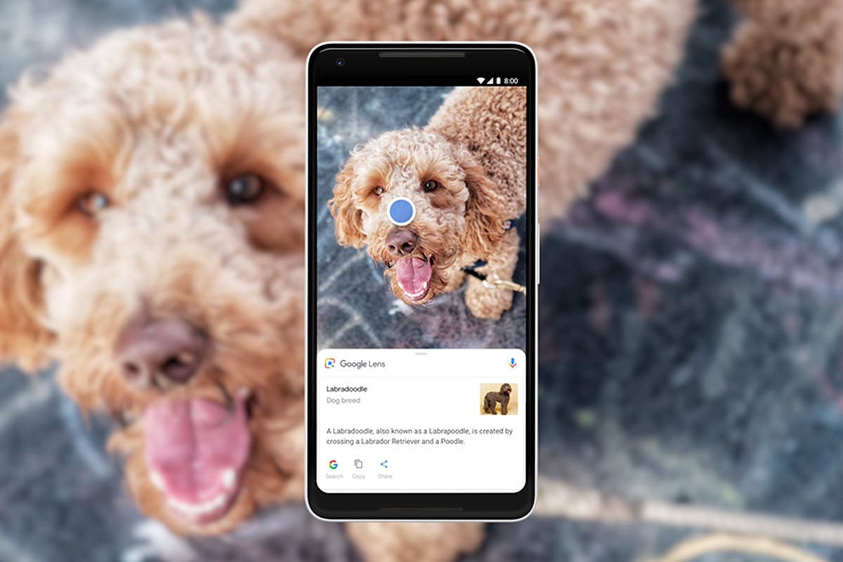 Use Google Lens on Android and iPhone