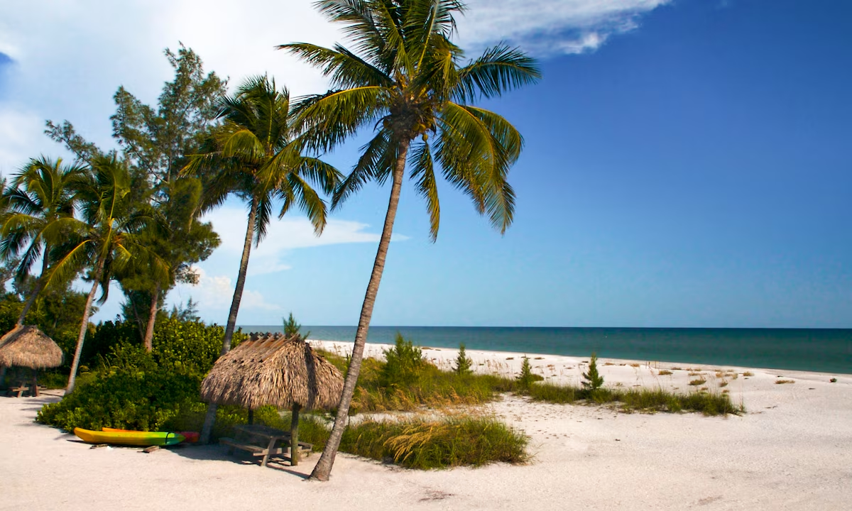 Top Things to Look for in Sand Key Vacation Rentals image